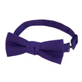 F43 Signature Purple Bow Tie